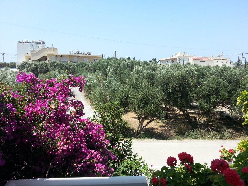 Ippokambos Rooms Plakias Oda fotoğraf